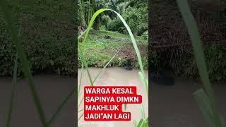 Download Lagu MAKHLUK JADI\ MP3