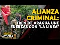 ALIANZA CRIMINAL: Tren de Aragua une fuerzas con “La Línea” | 🔴  NOTICIAS VENEZUELA HOY 2023