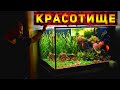 Красивейший аквариум Травник с Дискусами 750 литров!