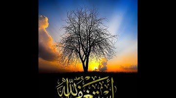 تلاوة خاشعة سورة الشورى - امام الحرم النبوي الشيخ عبدالمحسن القاسم www.qoranet.net