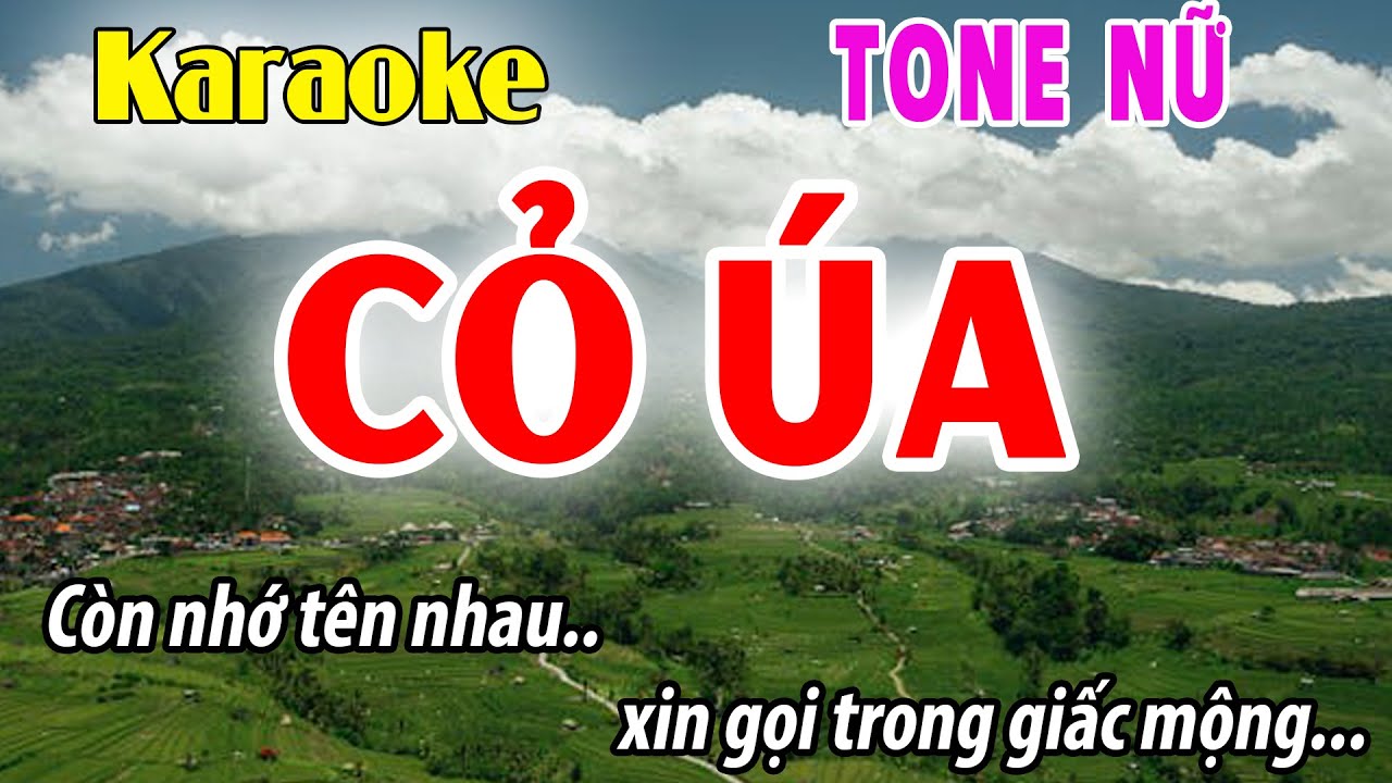 Cỏ Úa Karaoke Tone Nữ | Bm | Đời Sống và Âm Nhạc