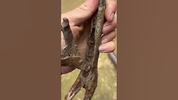 How I do electrolysis to remove rust ￼