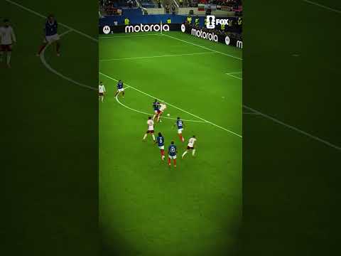 After what he has seen from Spain and Argentina, Zlatan calls his shot