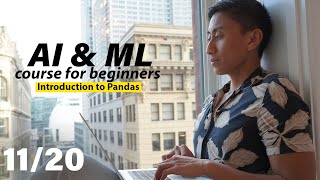 Basic Guide to Pandas in Python | AI & Machine Learning Course for Beginners by Sean Batir 305 views 3 months ago 8 minutes, 26 seconds