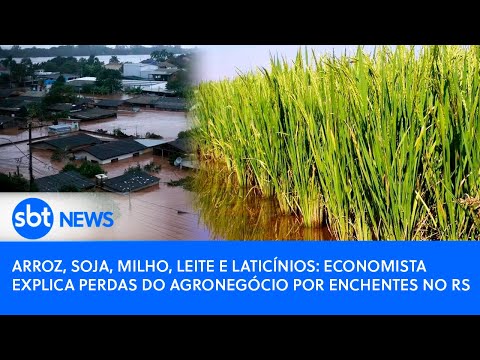 Video arroz-soja-milho-leite-e-laticinios-economista-explica-perdas-do-agronegocio-por-enchentes-no-rs