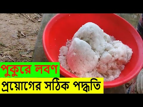 ভিডিও: শুকনো জন্য কিভাবে মাছ লবণ