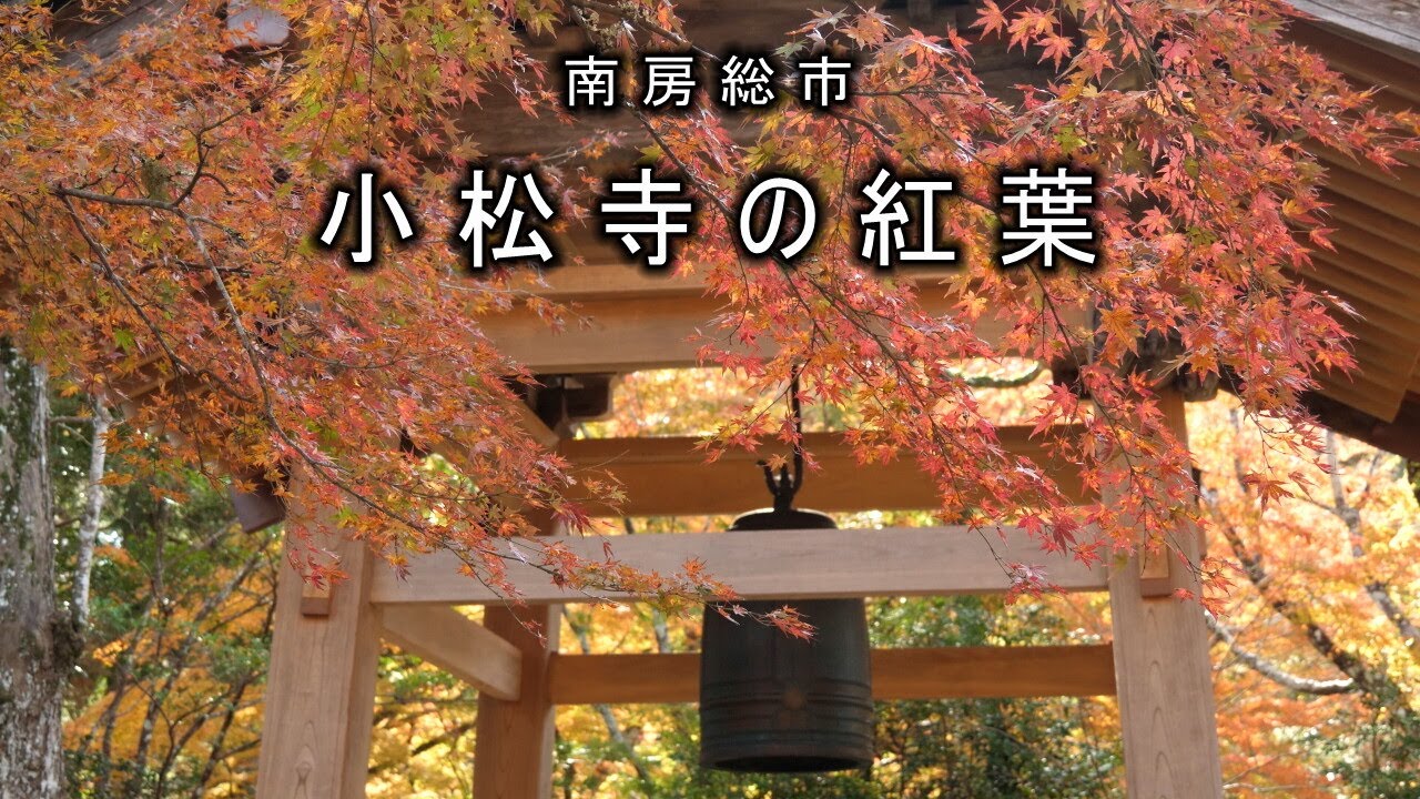 南房総市 小松寺の紅葉 21 4k Youtube