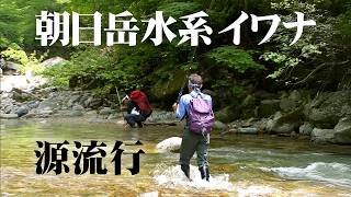 Mountain Stream Trek: Seeking Char in the Headwaters of Mt. Asahi, Yamagata Prefecture. 'Mountain...