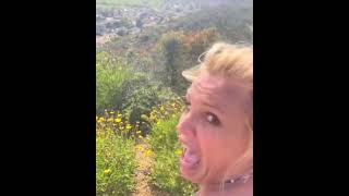 Stan Twitter: Britney Spears getting snuck up on and scared while sitting on a bench