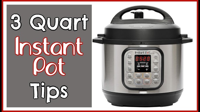 Instant Pot Duo Mini Review Demo Recipes 