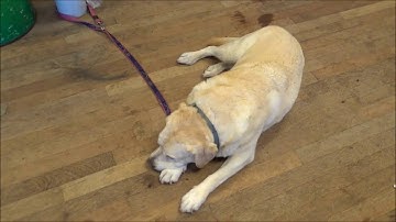 4esc 1okt16 MA2 JA1 +