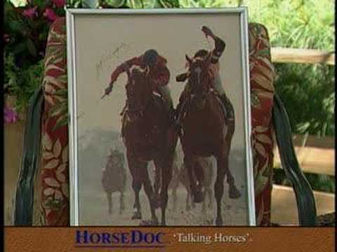 HorseDoc 'Talking Horses' Jorge Velasquez PART 2 R...