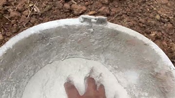 Cách diệt ốc sên hiệu quả để có vườn rau sạch trồng tại nhà