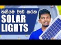 තනියම වැඩ කරන Solar  Lights | Outdoor Street/Garden Lights