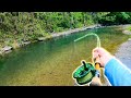 Catching GIANT Brown Trout in a Small Creek! (28 Inch Wild Trout)