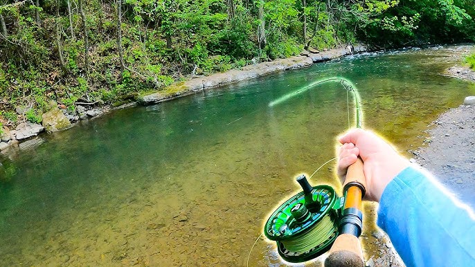 STREAMER FLY FISHING FOR GIANT BROWNS!