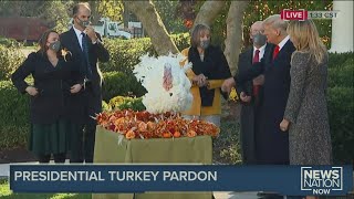 Pres. Trump, first lady Melania Trump participate in Thanksgiving Turkey pardoning at White House