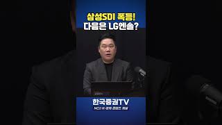 삼성SDI 다음 에코프로? '이것'으로 판 뒤집는다(변영인 대표)