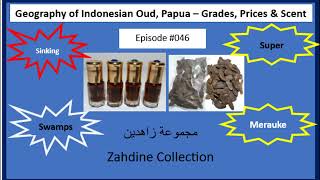 Geography of Indonesian Oud – Papua – Scent and Prices of Merauke and Sinking Oud Episode #046