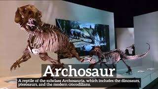 How To Say Archosaur In English? How Does Archosaur Look? What Is Archosaur?