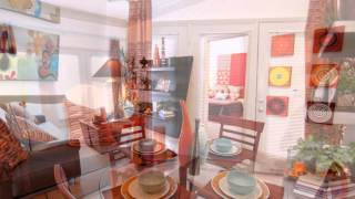 Milam (692 sq. ft) Floor Plan