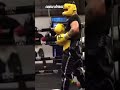 Canelo intouchable  boxing sparring