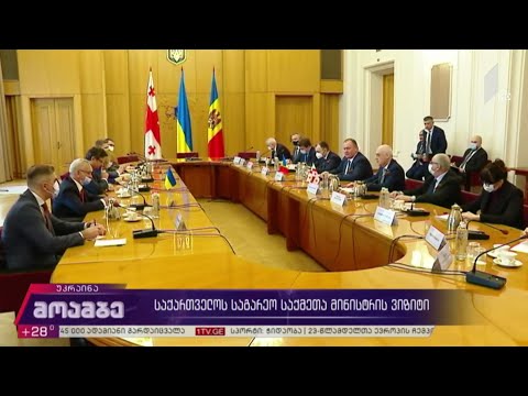 საქართველოს საგარეო საქმეთა მინისტრის ვიზიტი