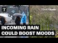 Rain Boosts Mental Well-Being And Heatwaves Fuel Aggression