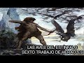 Las Aves Estinfálidas | Sexto Trabajo de Heracles | (Mitología Griega)