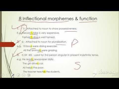 inflectional and derivational morphemes with examples