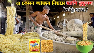ফ্যাক্টরিতে কোন জিনিস দিয়ে ম্যাগি নুডুলস তৈরি করা হয়! গোপন তথ্য ফাঁস,Maggi noodles factory process