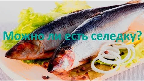 Можно ли есть селедку?