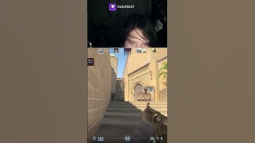 Flashbang simulator #cs2 #counterstrike #twitch clips from twitch.tv/kokofish21