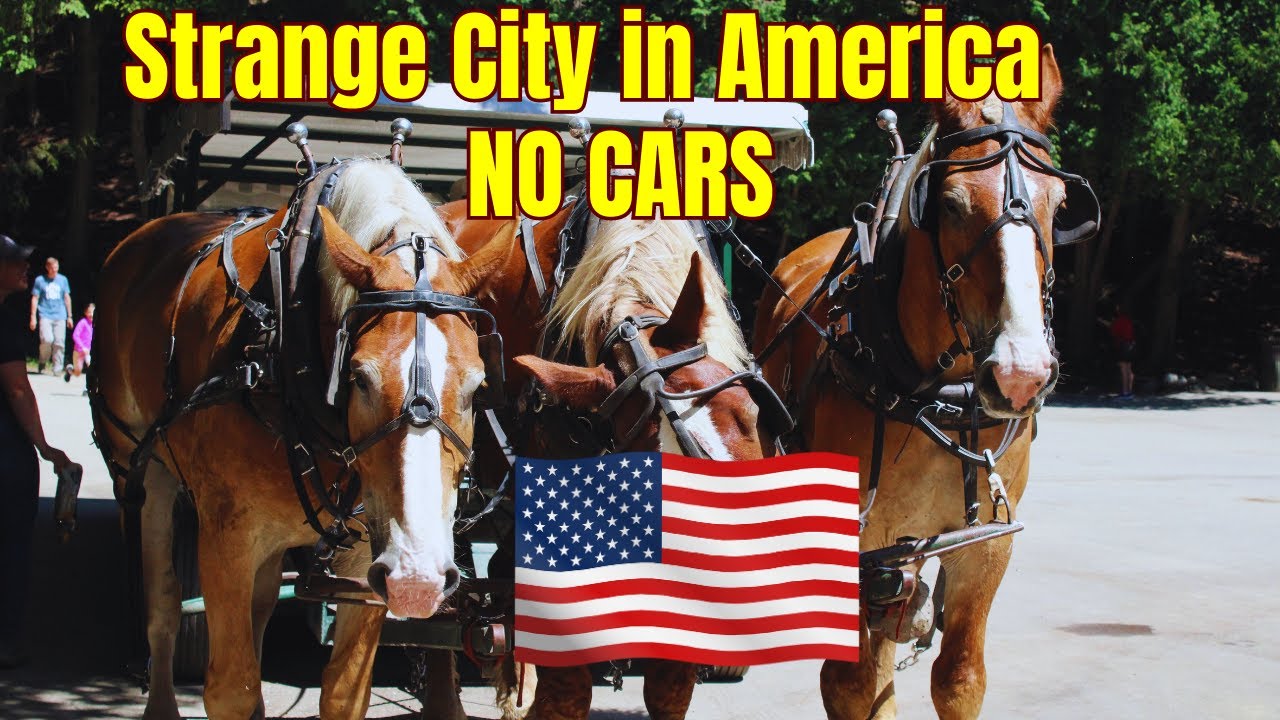 Cars Banned in America??? Here is why YouTube