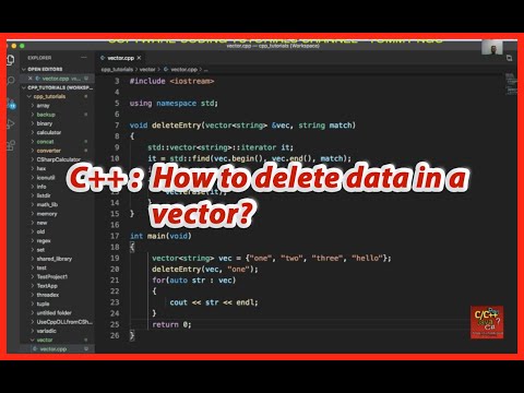 Video: Làm cách nào để xóa một hàm vectơ trong C ++?