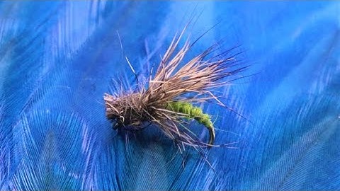 Fly Tying: A Rough Caddis Emerger with Martyn White
