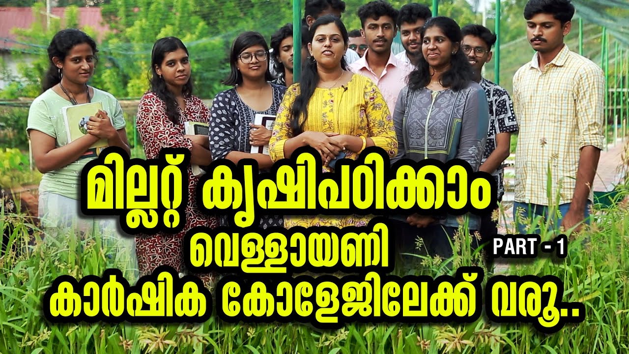 മില്ലറ്റ് കൃഷിപഠിക്കാം | COLLEGE OF AGRICULTURE VELLAYANI | NATTUVARAMBU EP 257 | MILLET | PART 1