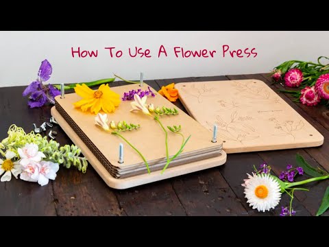How To Use A Flower Press - video from Flora & Fauna