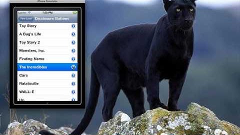 iPhone SDK. Tutorial 9. Intro. Apps de Varias Vistas. (Español Latino).