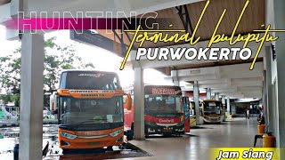 Terminal Bus Bulupitu Purwokerto!!, Hunting Angkatan Siang - Sore || Banyak Bus Keluar Masuk