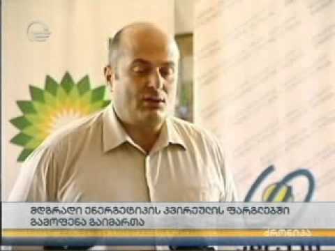 ენერგოეფექტურობის კვირეულის ფარგლებში გამოფენა გაიმართა