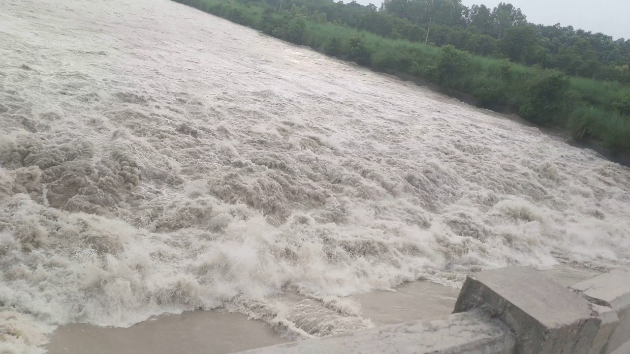 Yamuna ka paani