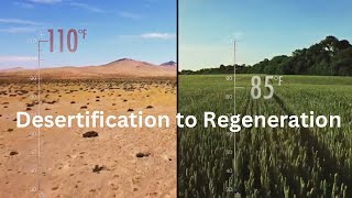What Causes #Desertification, and How Can We Restore Land? (from ‘Kiss the Ground’ documentary)