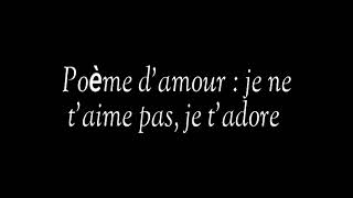 je ne t'aime pas je t'adore