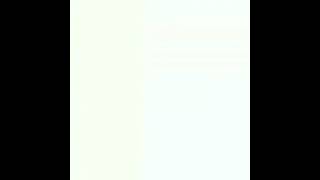 video0-9.mp4