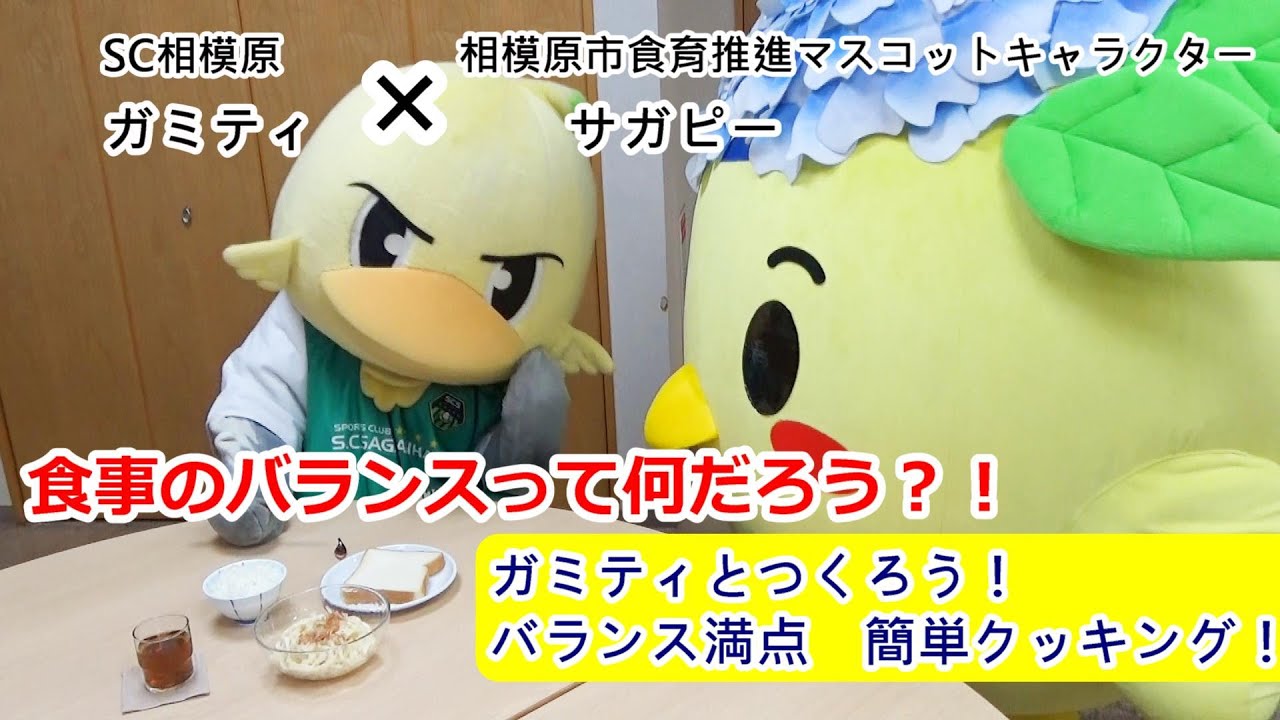 食育動画 相模原市