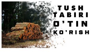 Tushda O'tin Ko'rish Tabiri