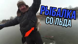 Рыбалка со льда / голодные коты атакуют