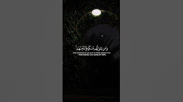 سورة المائدة [51] Surah Al-Maidah @NoCreditQuranOverlay #quran #allah #islam #الله #قرآن #اسلام