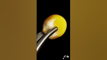Rost popcorn slow motion video 🍿🍿 #popcorn #shorts #youtubeshorts